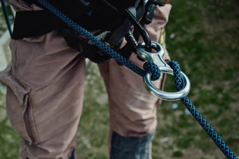 Climbing Harnesses